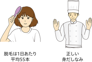 髪の毛をブラッシングしているイラストと、正しい身だしなみしているイラスト。髪の毛は1日に平均55本抜ける。