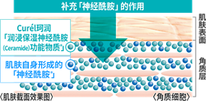 cn_ceramide_care_09