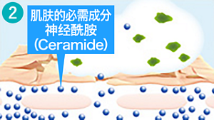 cn_ceramide_care_04