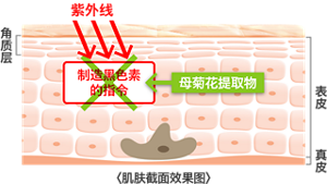 cn_img_feature_03_0105