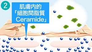 hk_img_wash_02