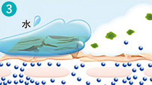 hk_img_wash_03