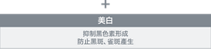 保濕·屏護 保護肌膚内部原有的滋潤成分 同時滋潤肌膚