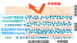 hk_img_uv_features_01