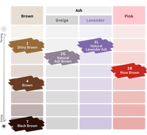 Liese Blauné Creamy Foam Color. Color Chart.