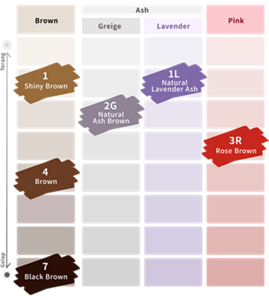 Liese Blauné Creamy Foam Color. Color Chart.
