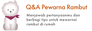 Q&A Pewarna Rambut Menjawab pertanyaanmu dan berbagi tips untuk mewarnai rambut di rumah