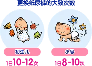 更换纸尿裤的大致次数 新生儿:1日10-12次 小号:1日8-10次