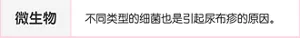 微生物:不同类型的细菌也是引起尿布疹的原因。