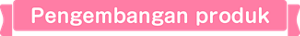 Pengembangan produk