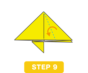 STEP 9