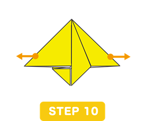 STEP 10