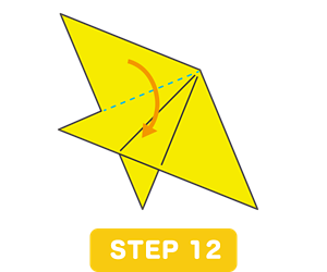 STEP 12