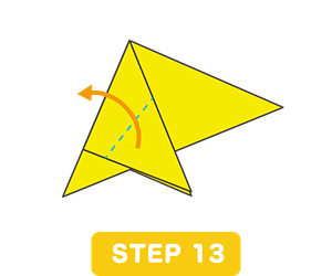 STEP 13
