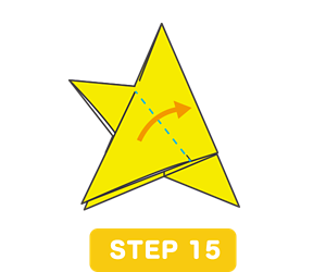 STEP 15