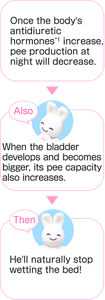 Once the body's antidiuretic hormones*1 increase, pee production at night will decrease. Also When the bladder develops and becomes bigger, its pee capacity also increases. Then He'll naturally stop wetting the bed!