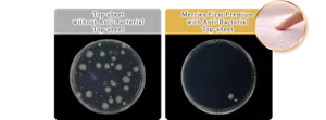 Top-sheet without Anti-Bacterial Top-sheet. Merries First Premium with Anti-Bacterial Top-sheet.