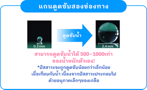 แกนดูดซับสองช่องทาง