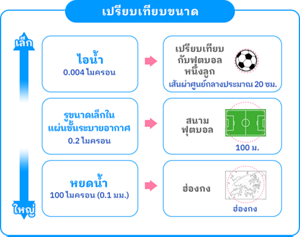 เปรียบเทียบขนาด