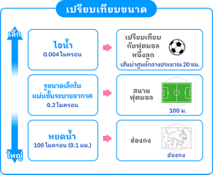 เปรียบเทียบขนาด