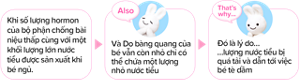 Khi số lượng hormon của bộ phận chống bài niệu thấp cùng với một khối lượng lớn nước tiểu được sản xuất khi bé ngủ. Và Do bàng quang của bé vẫn còn nhỏ chỉ có thể chứa một lượng nhỏ nước tiểu Đó là lý do… …lượng nước tiểu bị quá tải và dẫn tới việc bé tè dầm