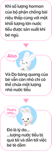 Khi số lượng hormon của bộ phận chống bài niệu thấp cùng với một khối lượng lớn nước tiểu được sản xuất khi bé ngủ. Và Do bàng quang của bé vẫn còn nhỏ chỉ có thể chứa một lượng nhỏ nước tiểu Đó là lý do… …lượng nước tiểu bị quá tải và dẫn tới việc bé tè dầm