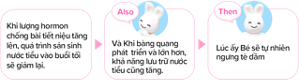 Khi lượng hormon chống bài tiết niệu tăng lên, quá trình sản sinh nước tiểu vào buổi tối sẽ giảm lại. Và Khi bàng quang phát triển và lớn hơn, khả năng lưu trữ nước tiểu cũng tăng. Lúc ấy Bé sẽ tự nhiên ngưng tè dầm