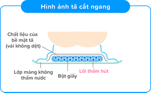 Hình ảnh tã giấy cắt ngang