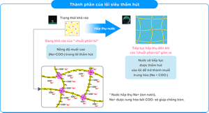 Thành phần của lõi siêu thấm hút
