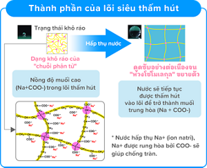 Thành phần của lõi siêu thấm hút