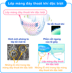 Lớp màng đáy thoát khí đặc biệt