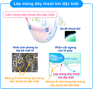 Lớp màng đáy thoát khí đặc biệt