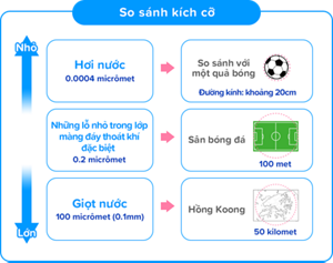 So sánh kích cỡ