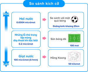 So sánh kích cỡ