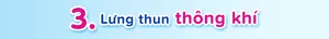 3 Lưng thun thông khí