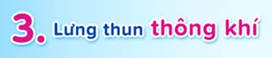 3 Lưng thun thông khí