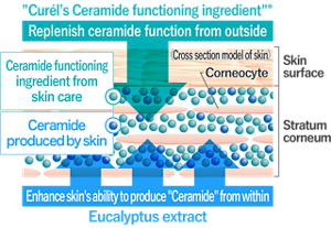2017_0307_sg_seramide_care_05