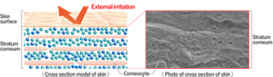 sg_seramide_care_06