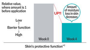 Skin's protective function*2