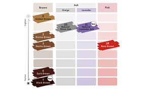 Liese Blauné Creamy Foam Color. Color Chart.