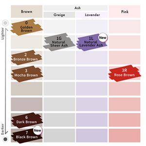 Liese Blauné Creamy Foam Color. Color Chart.