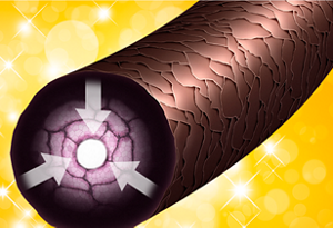 The image of coloring ingredients penetrate deeply into hair.