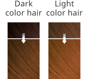 The hair image after coloring with CLEAR BROWN on dark color hair and light one.