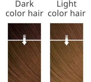 The hair image after coloring with MATT ASH on dark color hair and light one.