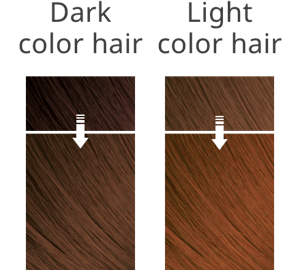 The hair image after coloring with NATURAL BROWN on dark color hair and light one.
