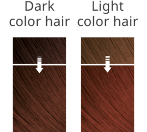 The hair image after coloring with PINK BROWN  on dark color hair and light one.