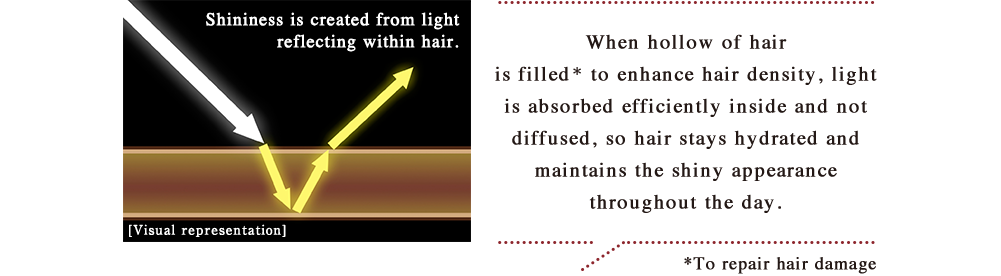 When hollow of hair is filled* to enhance hair density, light is absorbed efficiently inside and not diffused, so hair stays hydrated and maintains the shiny appearance throughout the day