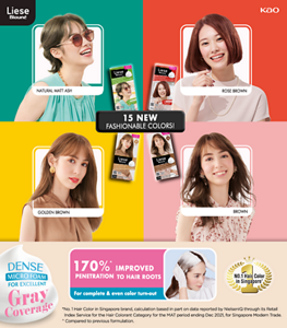 Liese Blauné Creamy Foam Color DENSE MICRO FOAM FOR EXCELLENT GRAY COVERAGE 15 New Fashionable Colors!