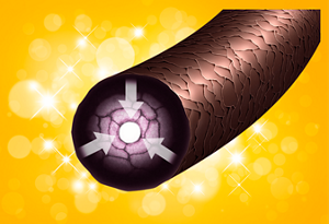 An image of coloring ingredients penetrate deeply into hair.