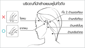 th_care_scalp_01